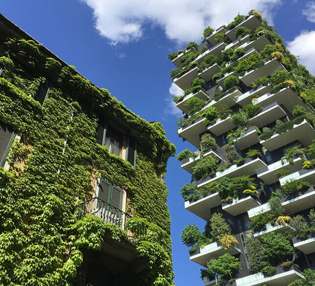 SERVIZI PER IL VERDE